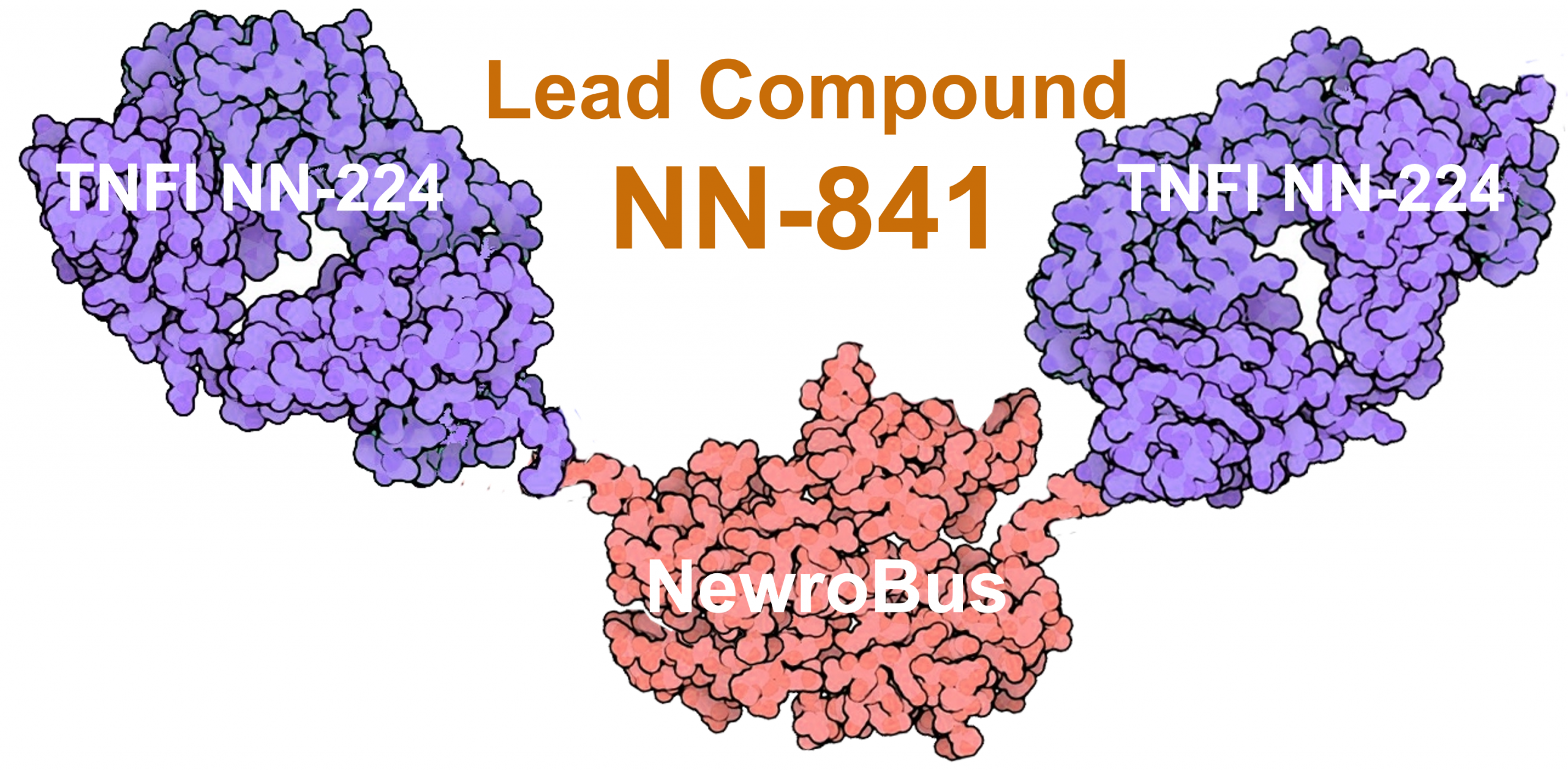 Lead Compound NN-841
